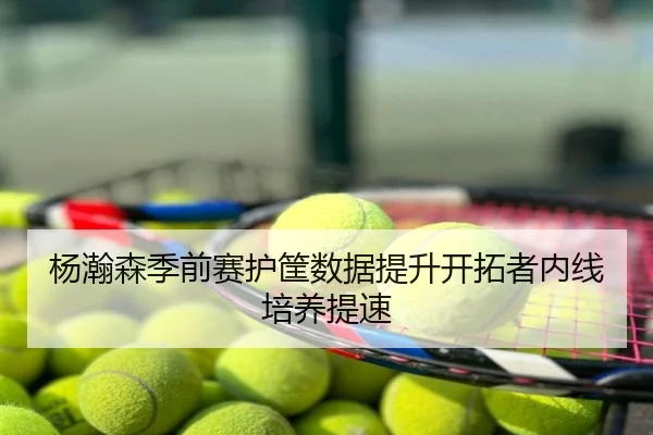 杨瀚森季前赛护筐数据提升开拓者内线培养提速